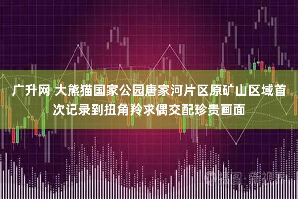 广升网 大熊猫国家公园唐家河片区原矿山区域首次记录到扭角羚求偶交配珍贵画面