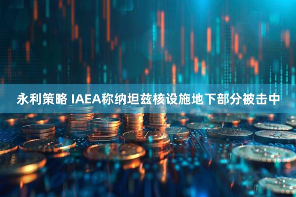 永利策略 IAEA称纳坦兹核设施地下部分被击中